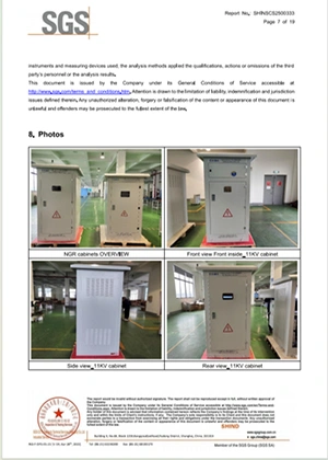 Gabinetes de resistencias de puesta a tierra de alta tensión de 5.5 kV y 11 kV solicitados por un cliente en Argelia